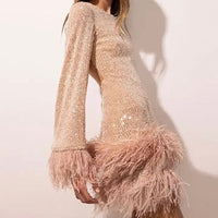 Sequin Dress with Feather Details - Ayla