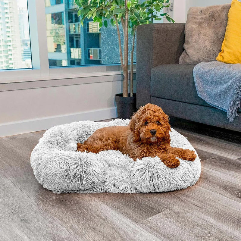Beroligende hundeseng med memory-skum - Charlie