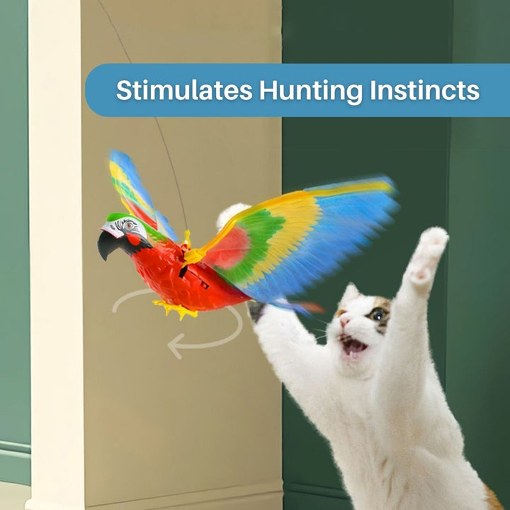 Interaktives Katzenspielzeug für Spaß und Bewegung – FeatherFlight™