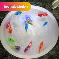 Set de juego para gatos – AquaPurr