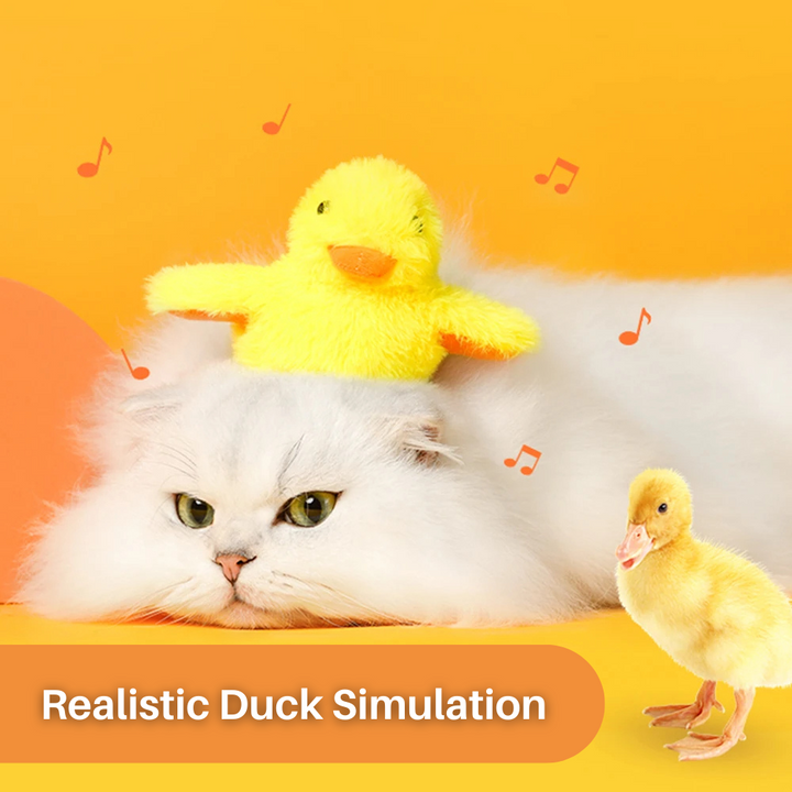 Flaksende and katteleketøy – DuckDash™ (1+1 GRATIS)