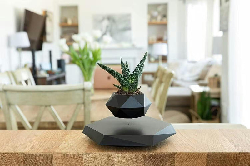 Floating Plant Holder with Magnetic Levitation - Liva