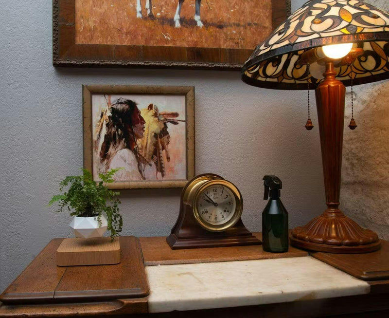 Floating Plant Holder with Magnetic Levitation - Liva