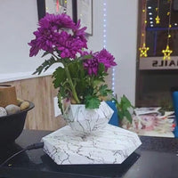 Floating Plant Holder with Magnetic Levitation - Liva