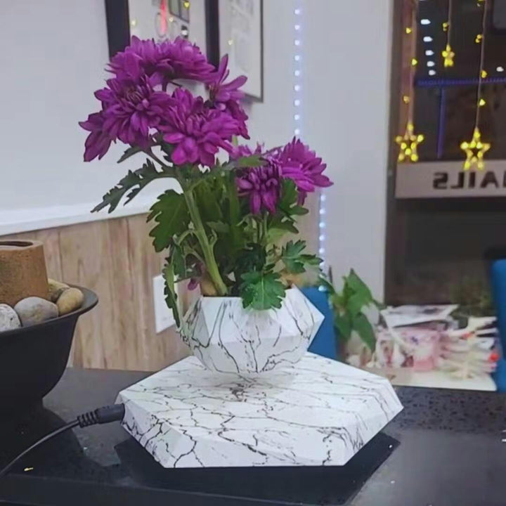Floating Plant Holder with Magnetic Levitation - Liva