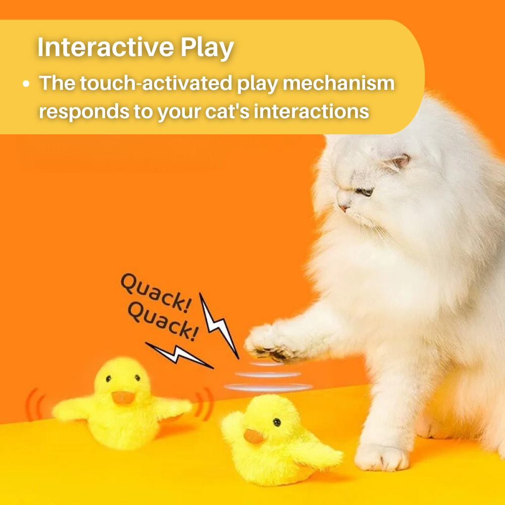 Flaksende and katteleketøy – DuckDash™ (1+1 GRATIS)