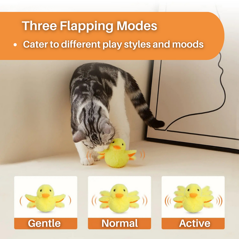 Flaksende and katteleketøy – DuckDash™ (1+1 GRATIS)