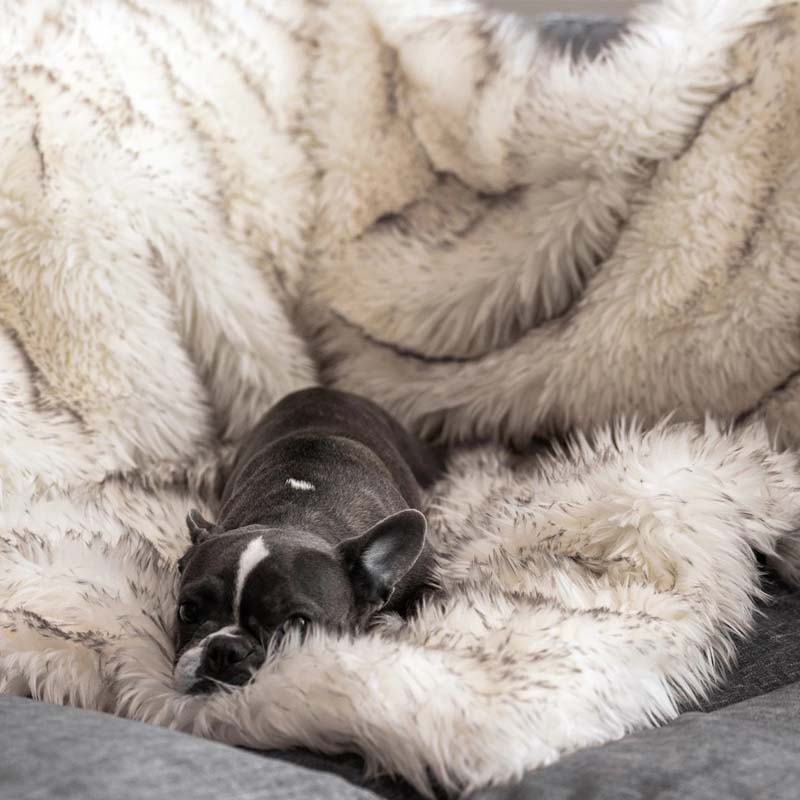 Manta impermeable de lujo para mascotas – CozyPaw™