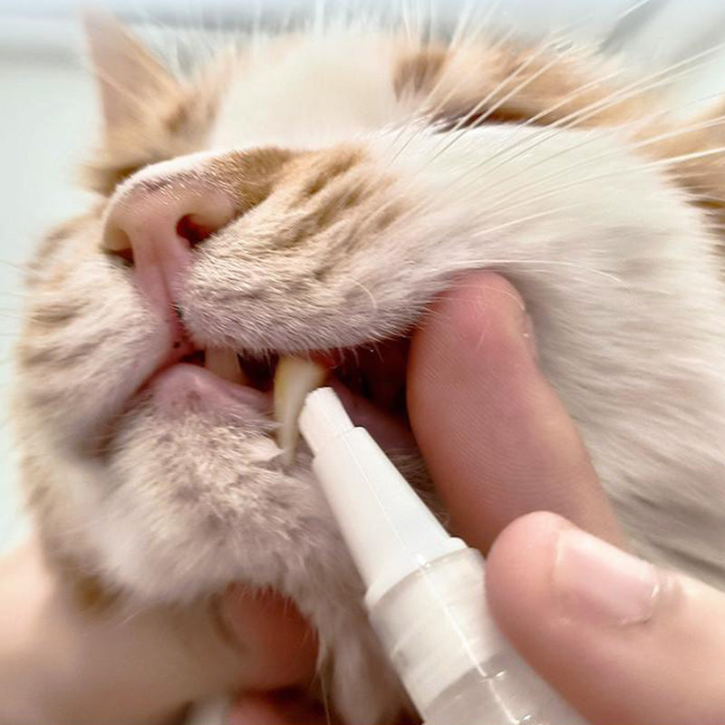 Pet Toothbrush Pen - PetSmile