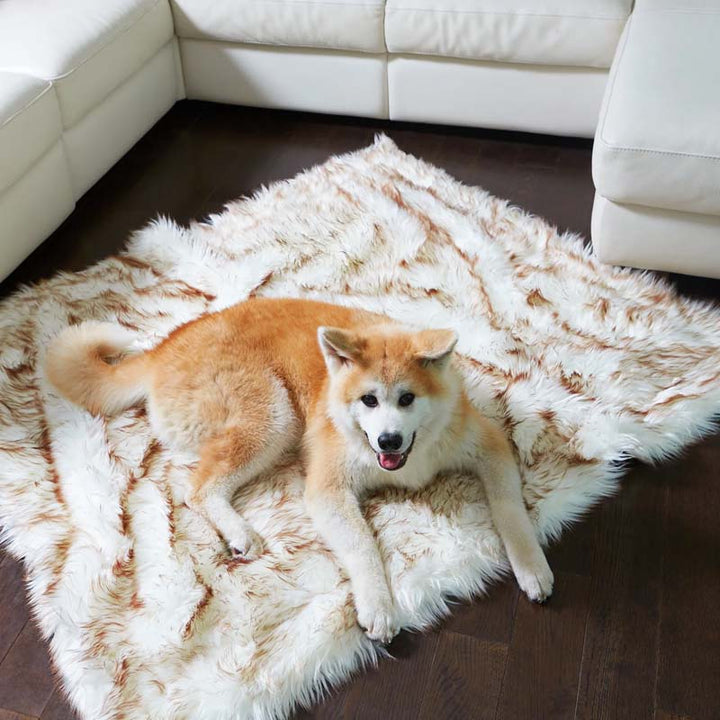 Manta impermeable de lujo para mascotas – CozyPaw™