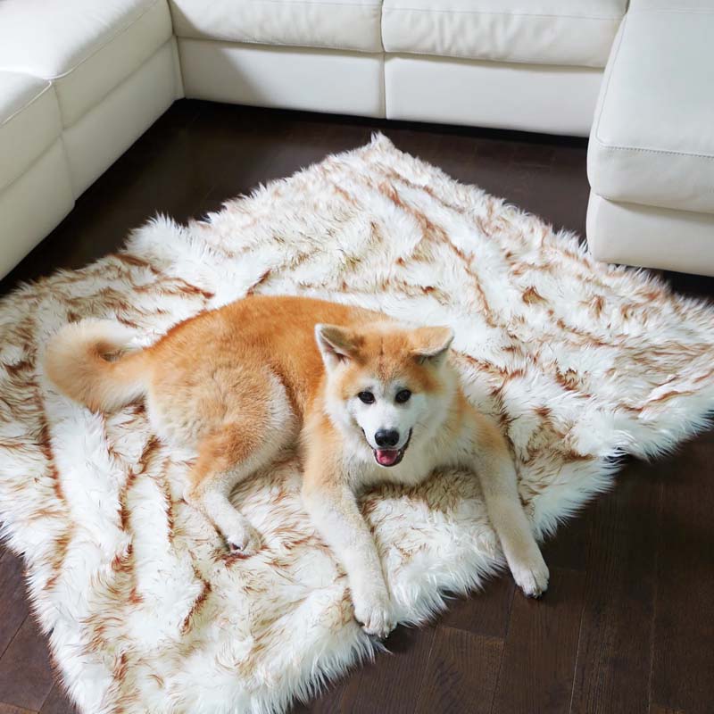 Manta impermeable de lujo para mascotas – CozyPaw™