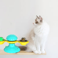 Katzen Windmühlen Krads- og legestation - TwirlPaws