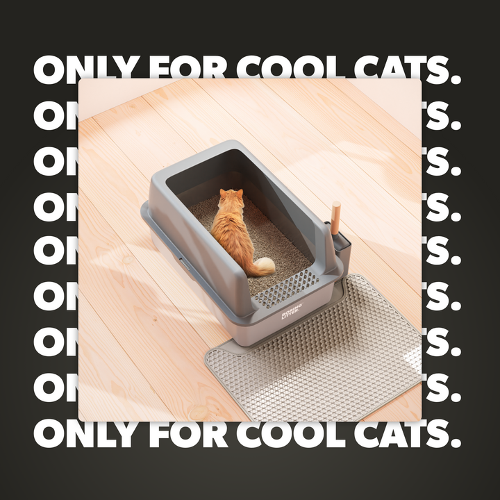 Stainless Steel Cat Litter Box – SteelClean