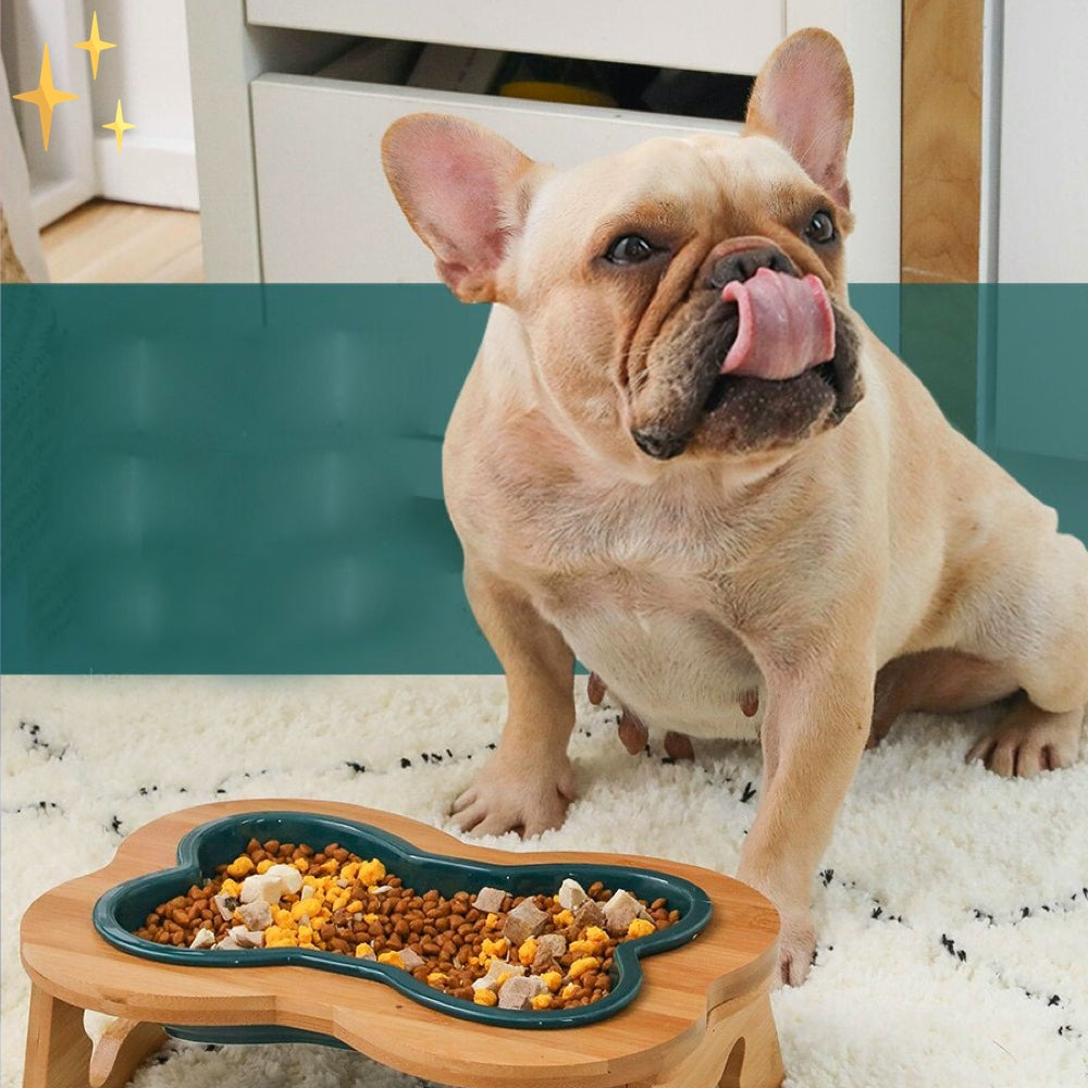 Ceramic Dog Bowl with Wooden Base – BoneFeast