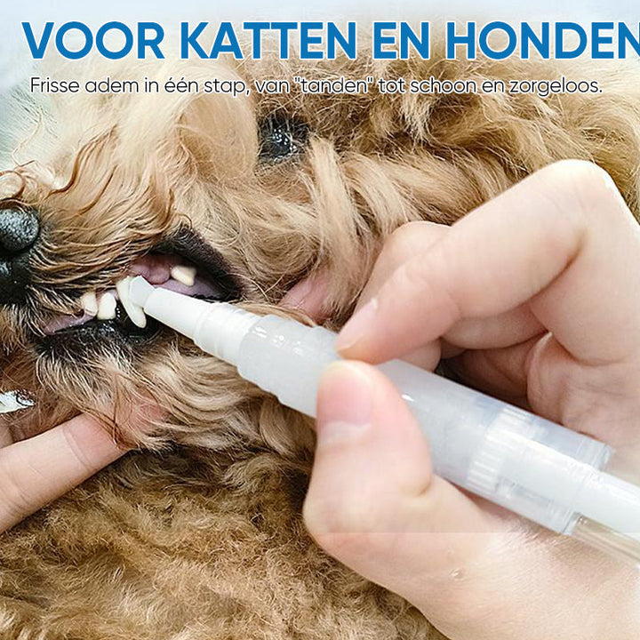 Pet Toothbrush Pen - PetSmile