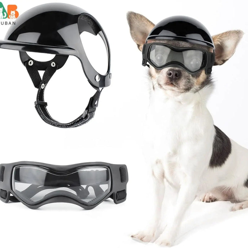 Dog Aid and Glasses - RiderPaw