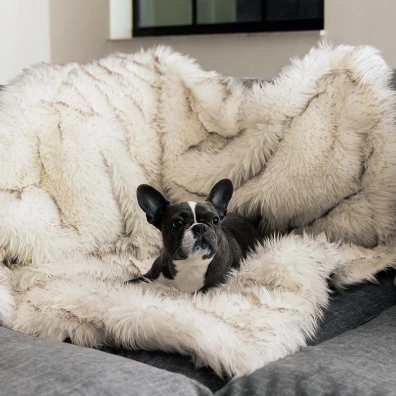 Manta impermeable de lujo para mascotas – CozyPaw™