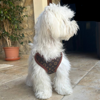 Hundevest og båndsett – PawLuxe