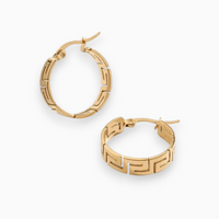 Stylish Earrings - Purple