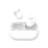 Premium Wireless Earbuds - EchoSonic
