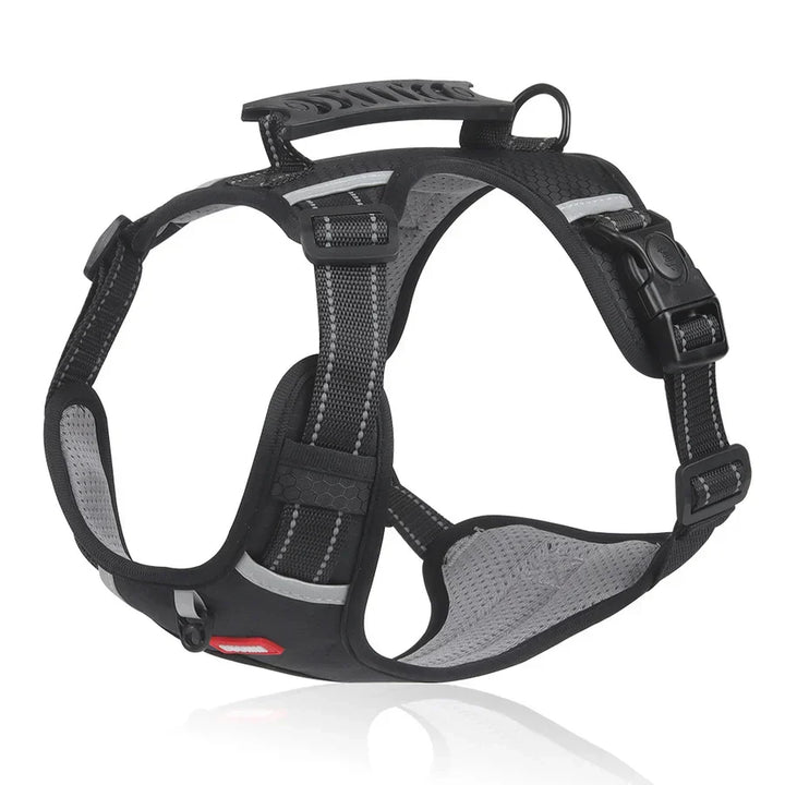 Robustes & Komfortables Hundegeschirr - ActivePup™