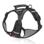 Robustes & Komfortables Hundegeschirr - ActivePup™