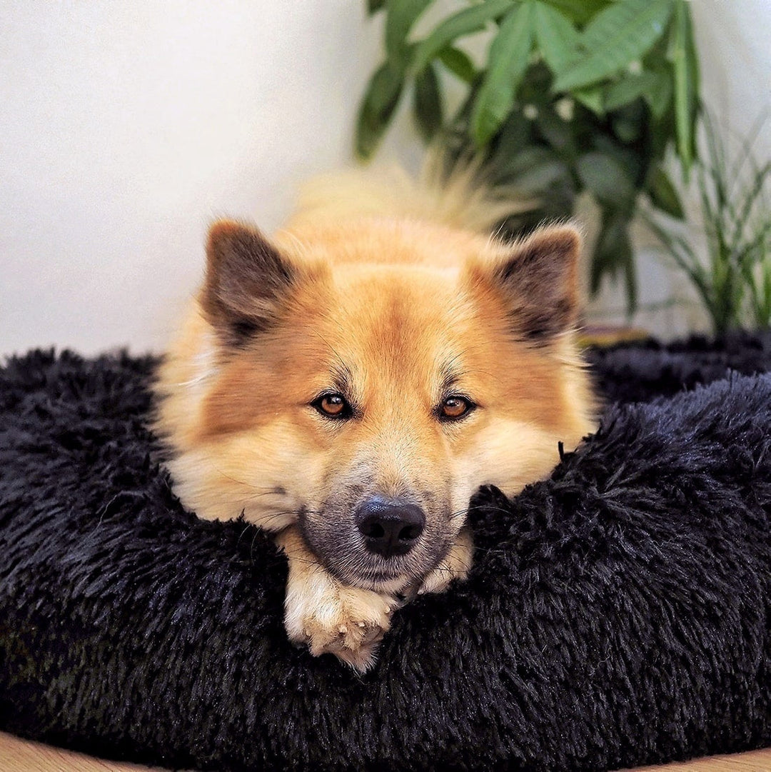 Hundeseng Fluffy Plus - Den originale