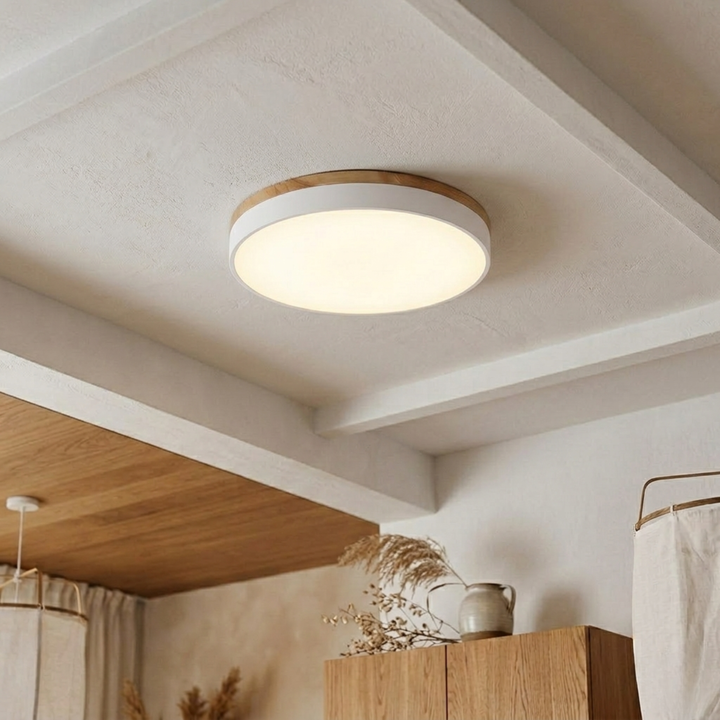 Round Disc Ceiling Light – Flat Flush Mount Fixture 10