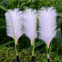 Dekorativ Rattan Havebelysning - SunReed