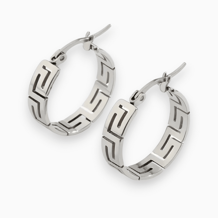Stylish Earrings - Purple