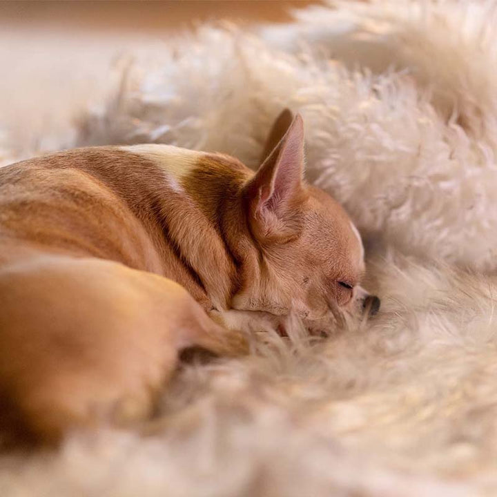 Manta impermeable de lujo para mascotas – CozyPaw™