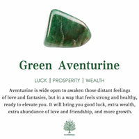 Natural Crystal Thuja Bracelet – Mila