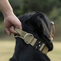 Taktisk hundehalsbånd med håndtag - PowerGrip