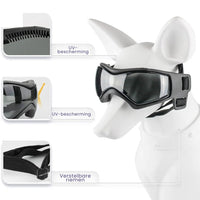 Dog Aid and Glasses - RiderPaw