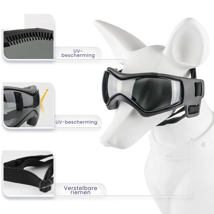 Dog Aid and Glasses - RiderPaw