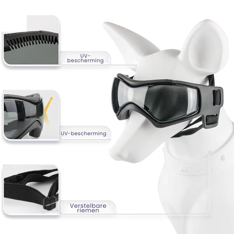 Dog Aid and Glasses - RiderPaw