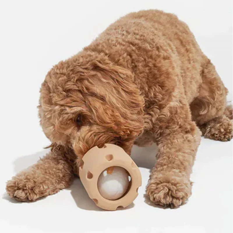 Tandplejelegetøj til hunde - BounceChew