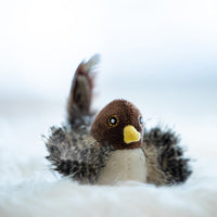 Interaktivt kattelegetøj - ChirpBird