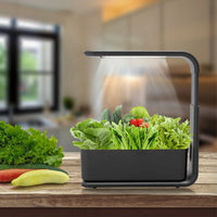 Intelligent Hydroponic Indoor Plant System – GreenBloom Hydro