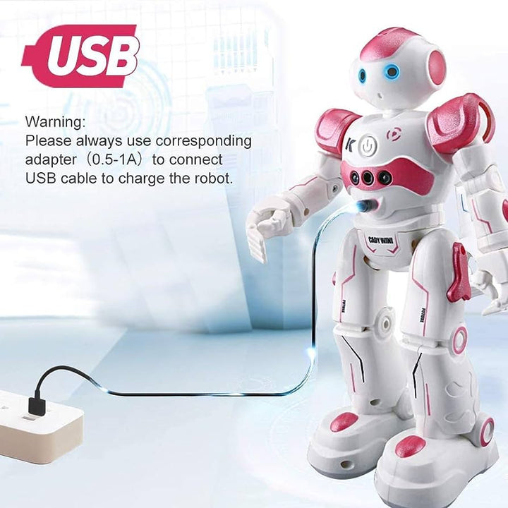 Interactive Educational Robots - NovaBot