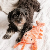 Juguete para perro móvil con sensor de movimiento - PlayPal