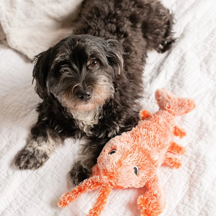 Juguete para perro móvil con sensor de movimiento - PlayPal