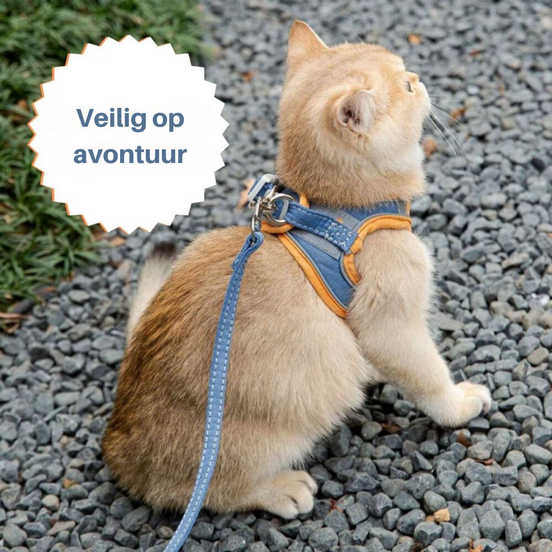 Kattesele – Oscar