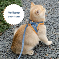 Kattesele – Oscar