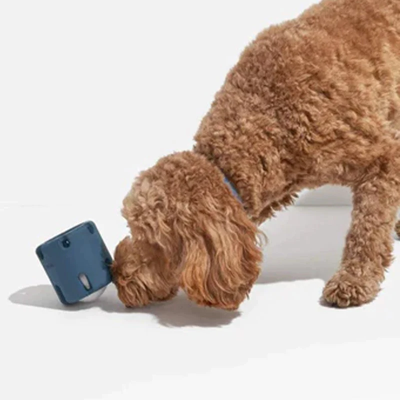 Tandplejelegetøj til hunde - BounceChew
