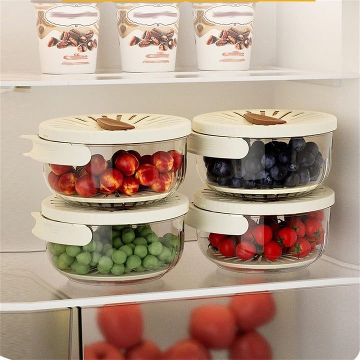 Frischhaltebehälter für Obst und Gemüse - FreshSeal