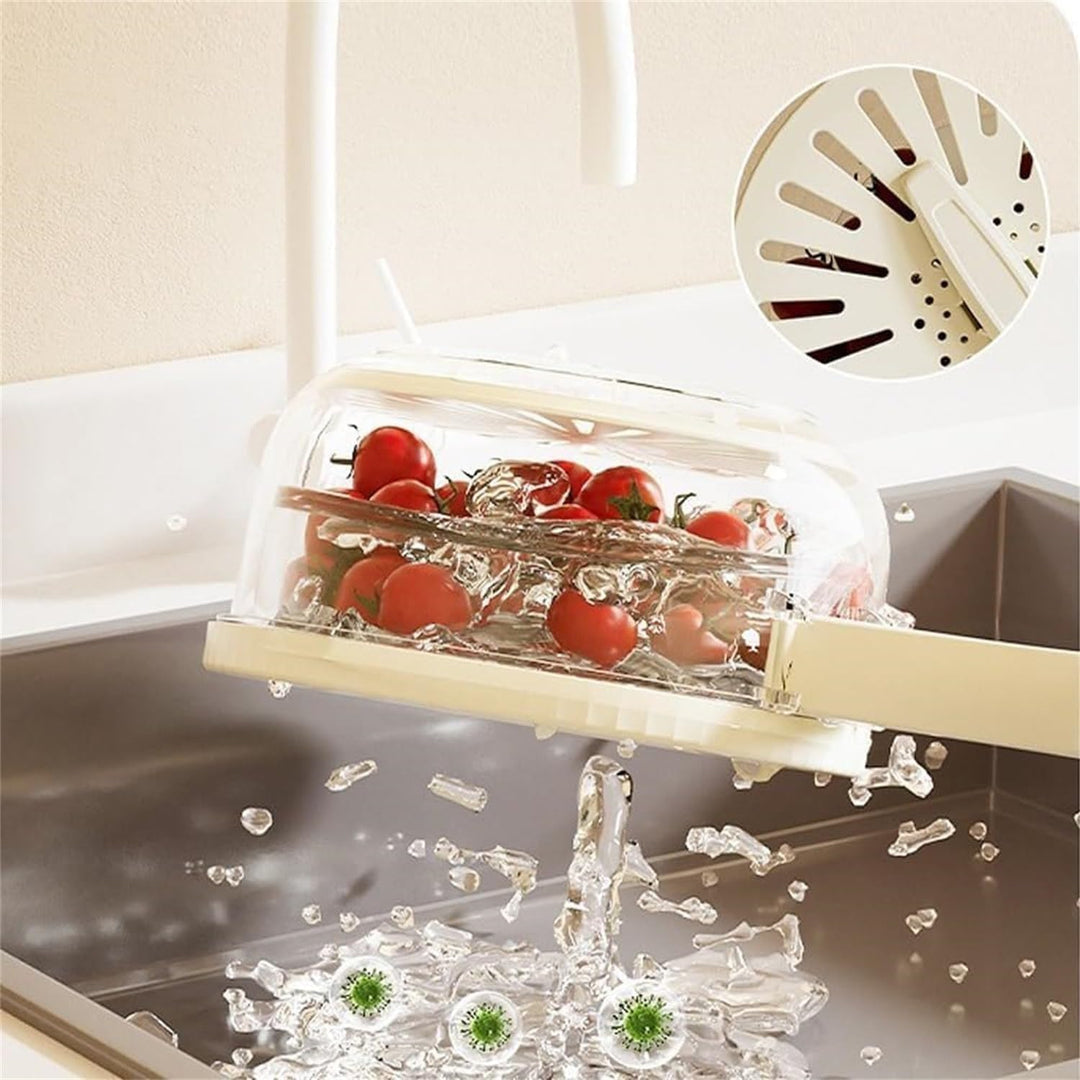 Frischhaltebehälter für Obst und Gemüse - FreshSeal