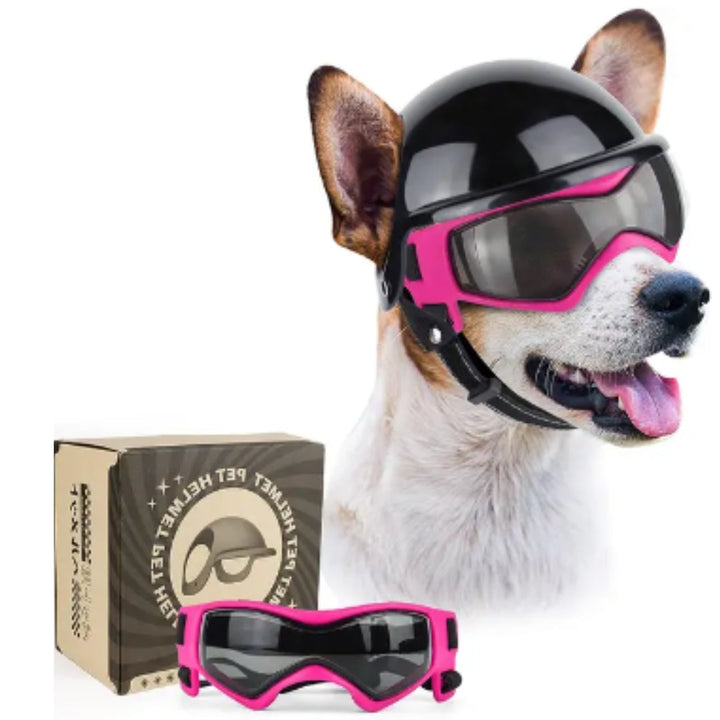 Dog Aid and Glasses - RiderPaw