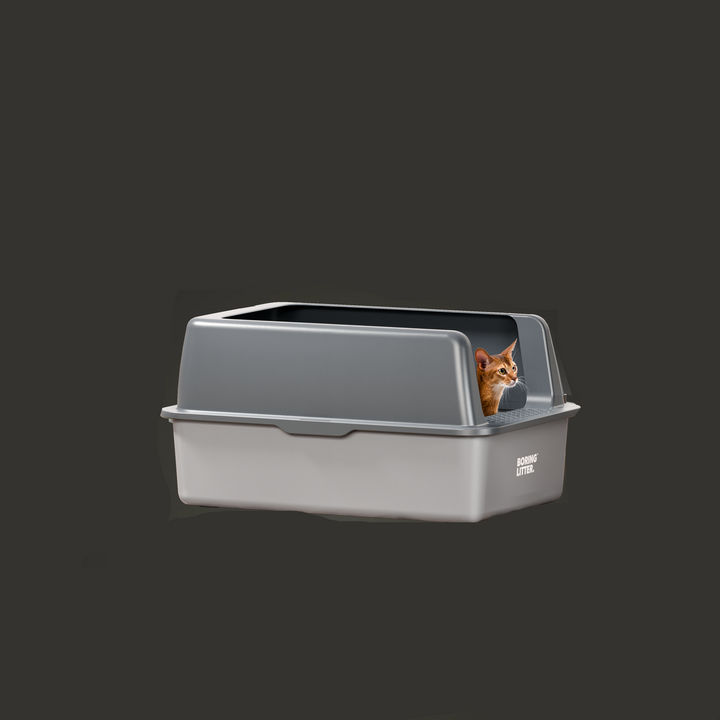 Stainless Steel Cat Litter Box – SteelClean