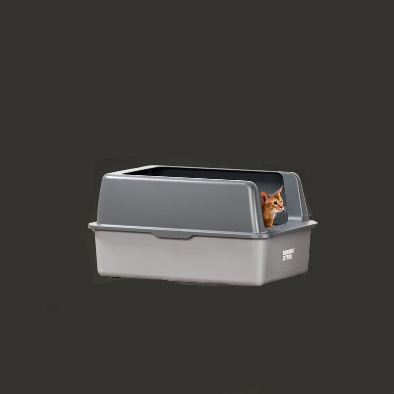 Stainless Steel Cat Litter Box – SteelClean